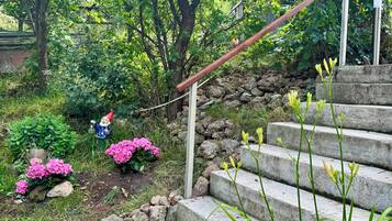 A garden with a stone staircase, a gnome statue, and pink flowers.