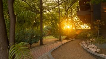 Un sendero que atraviesa un jardín con árboles y un edificio a la derecha.