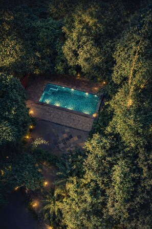 Vista aérea de una piscina rectangular rodeada de follaje denso, con un área pavimentada que conduce a ella.