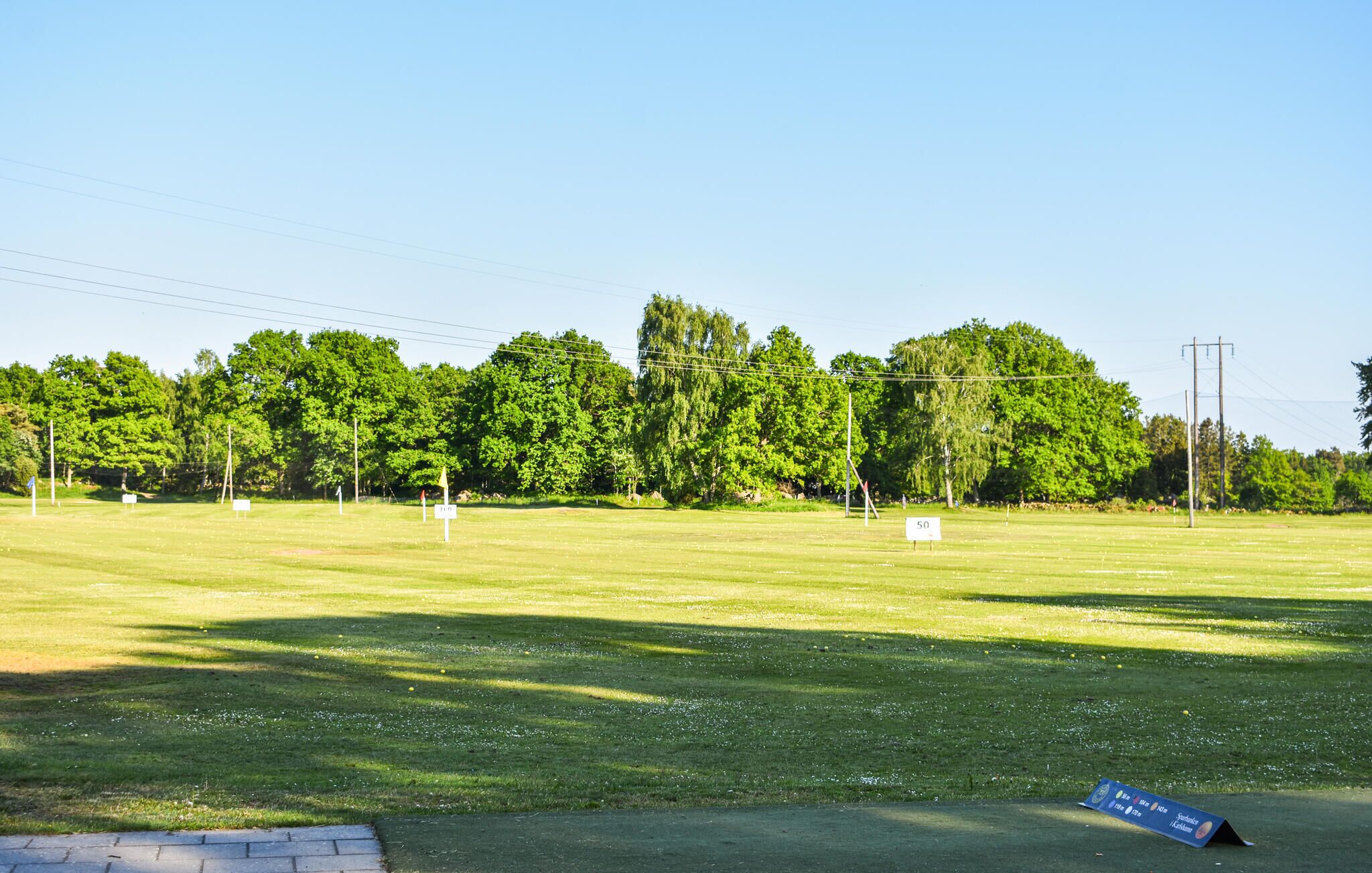 A grassy field with trees and a clear sky.