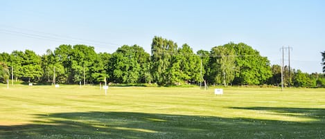 A grassy field with trees and a clear sky.