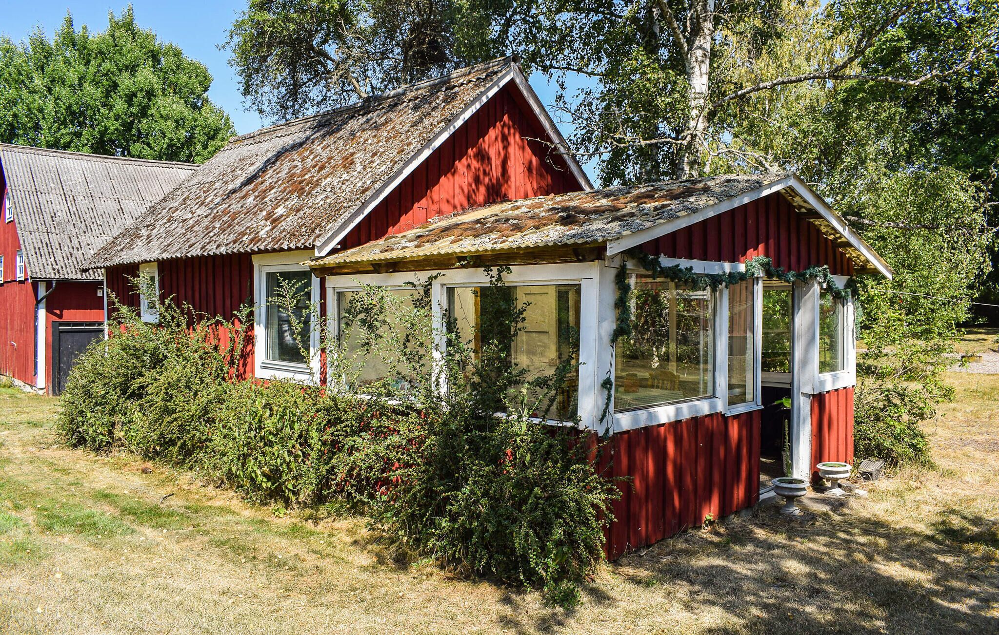 Eksteriør