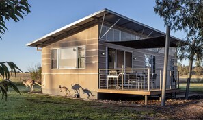 Cabane Deluxe | Extérieur