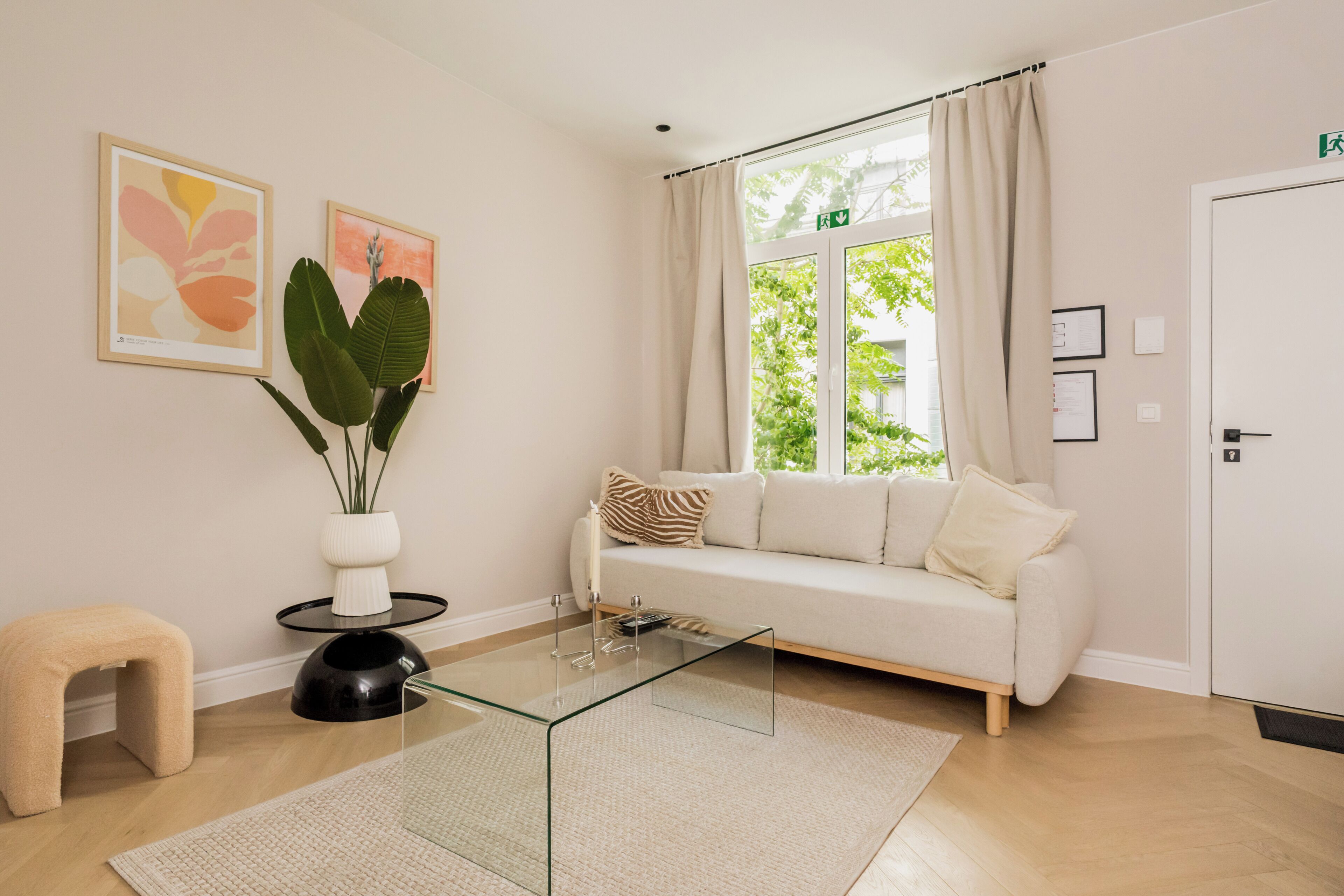 A modern living room with a glass coffee table, a sofa, a plant, and artwork on the wall.