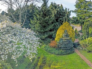A landscaped garden with a variety of trees, including a prominent coniferous tree with yellow foliage, a flowering tree with white blossoms, and a neatly trimmed hedge. - 1 bedroom accommodation in Faldingworth (Faldingworth)