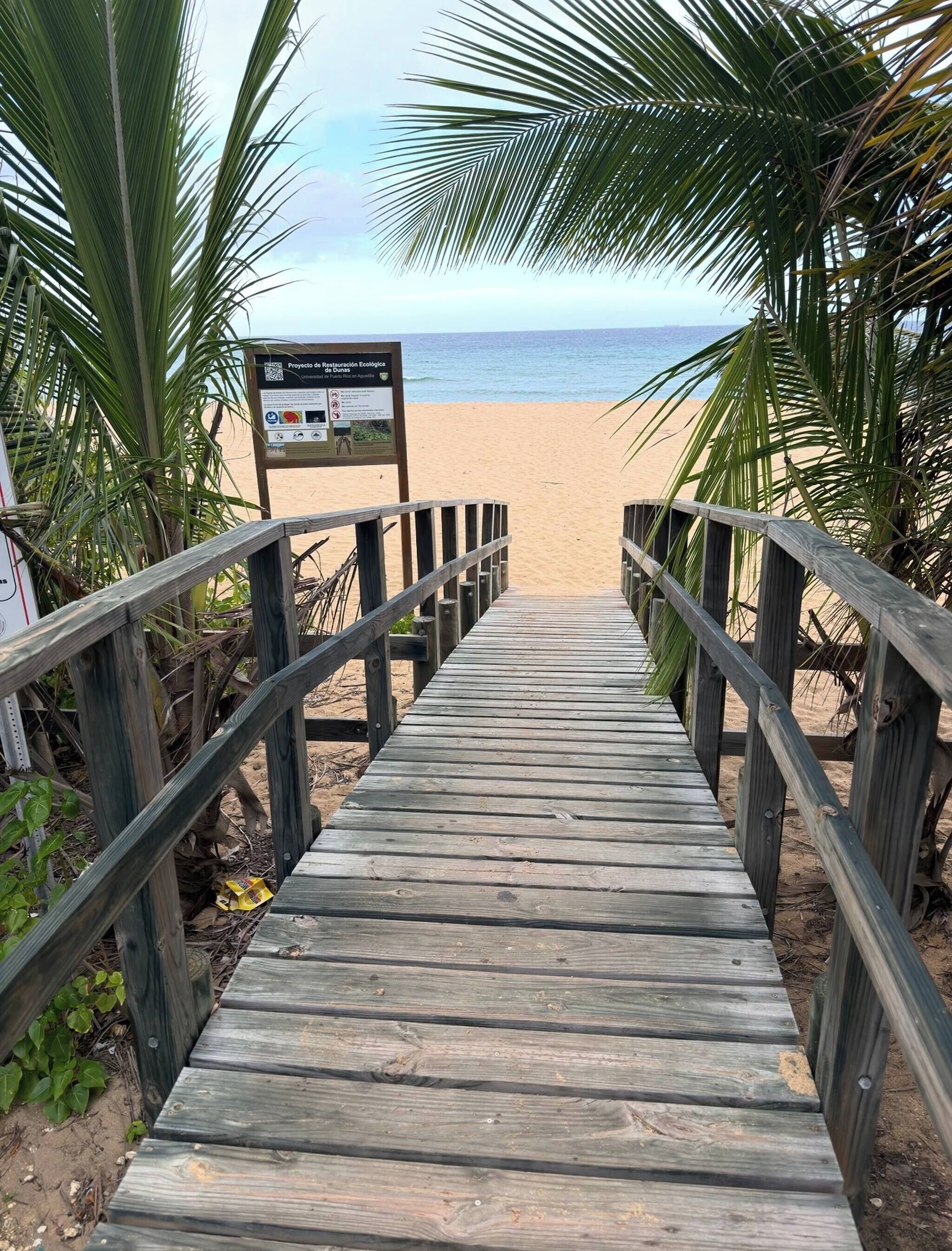 Apartment, 1 Bedroom, Balcony, Ocean View | Beach
