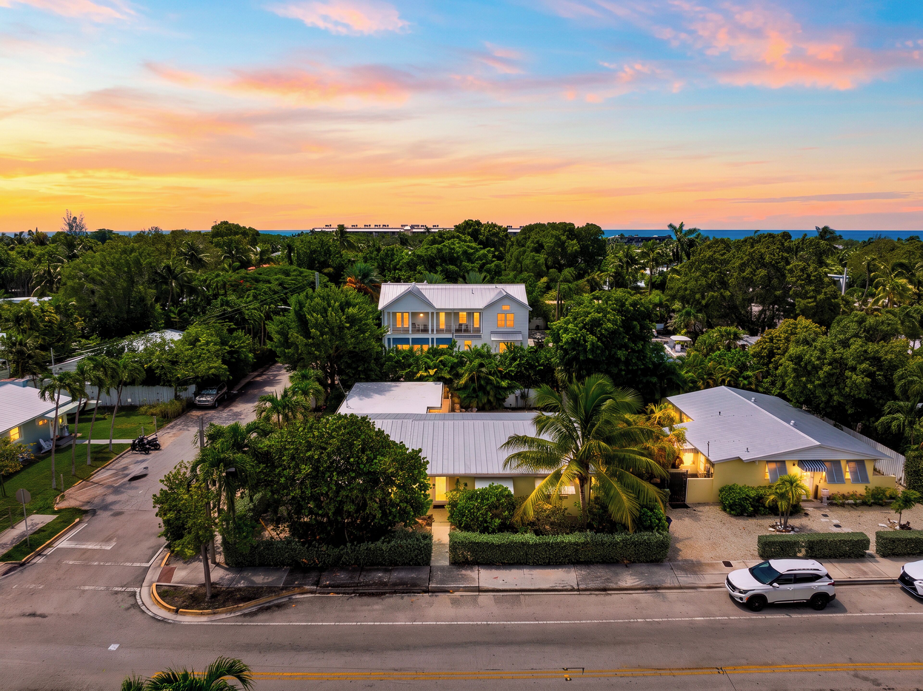 A residential area with houses surrounded by lush greenery and a clear view of the ocean.
