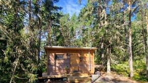 Una cabaña pequeña rodeada de un bosque frondoso.