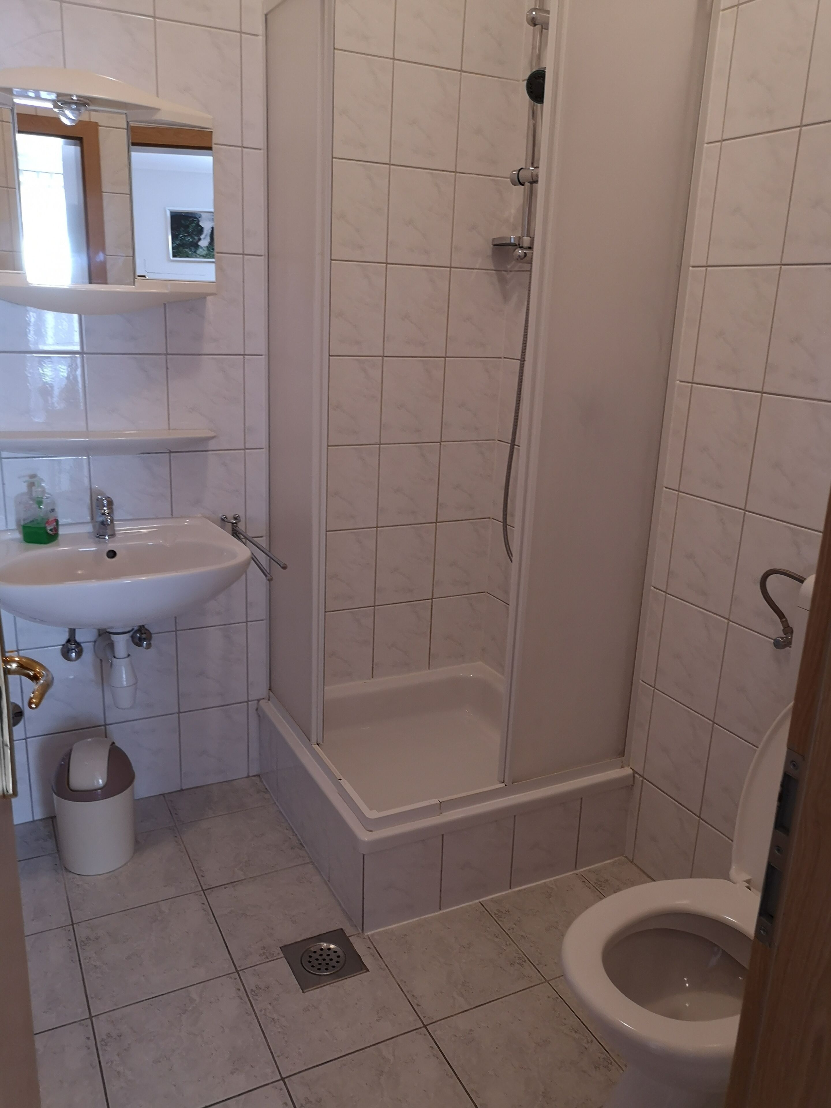 A bathroom with a sink, toilet, and shower.