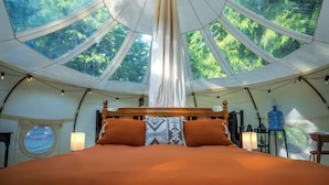 A tented room with a bed, a hanging light fixture, and a view of trees through the ceiling.