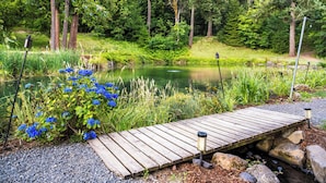 A wooden dock extending over a pond surrounded by lush greenery and trees.