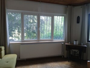 A room with a large window, a radiator, a wooden floor, and a small table with a plant.