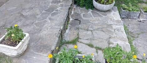 A stone-paved area with rectangular planters containing various plants and flowers.