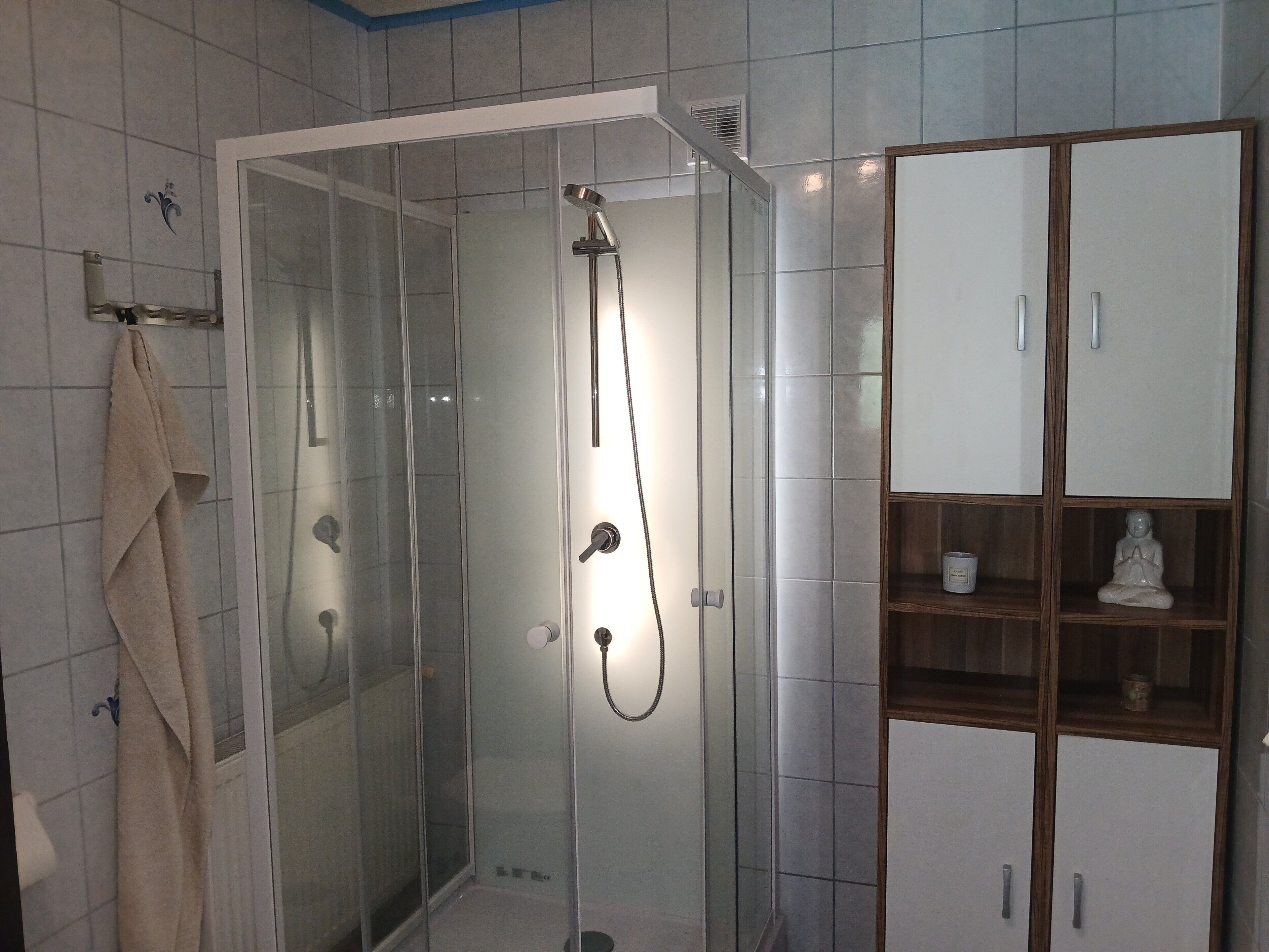 Shower, hair dryer, towels