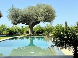 Área de piscina com árvores e céu claro.