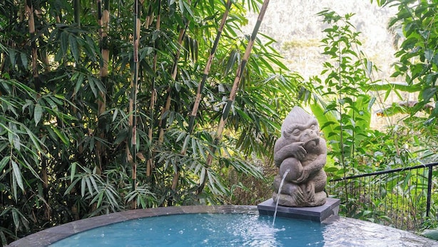 Deluxe Villa | Pool