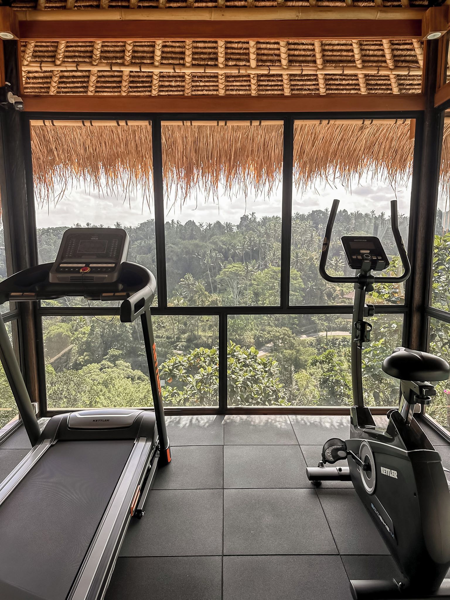 A gym with exercise equipment and a view of a forest through large windows.