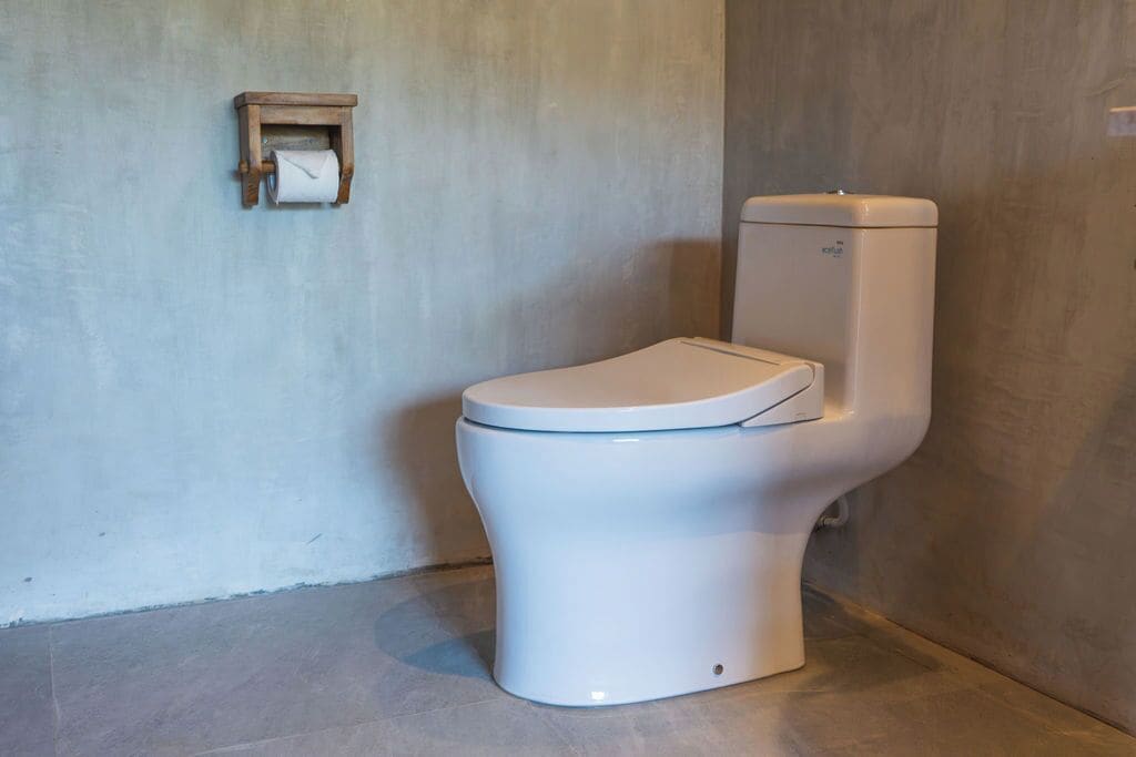 A white toilet with a tank, a wall-mounted toilet paper holder, and a plain wall.