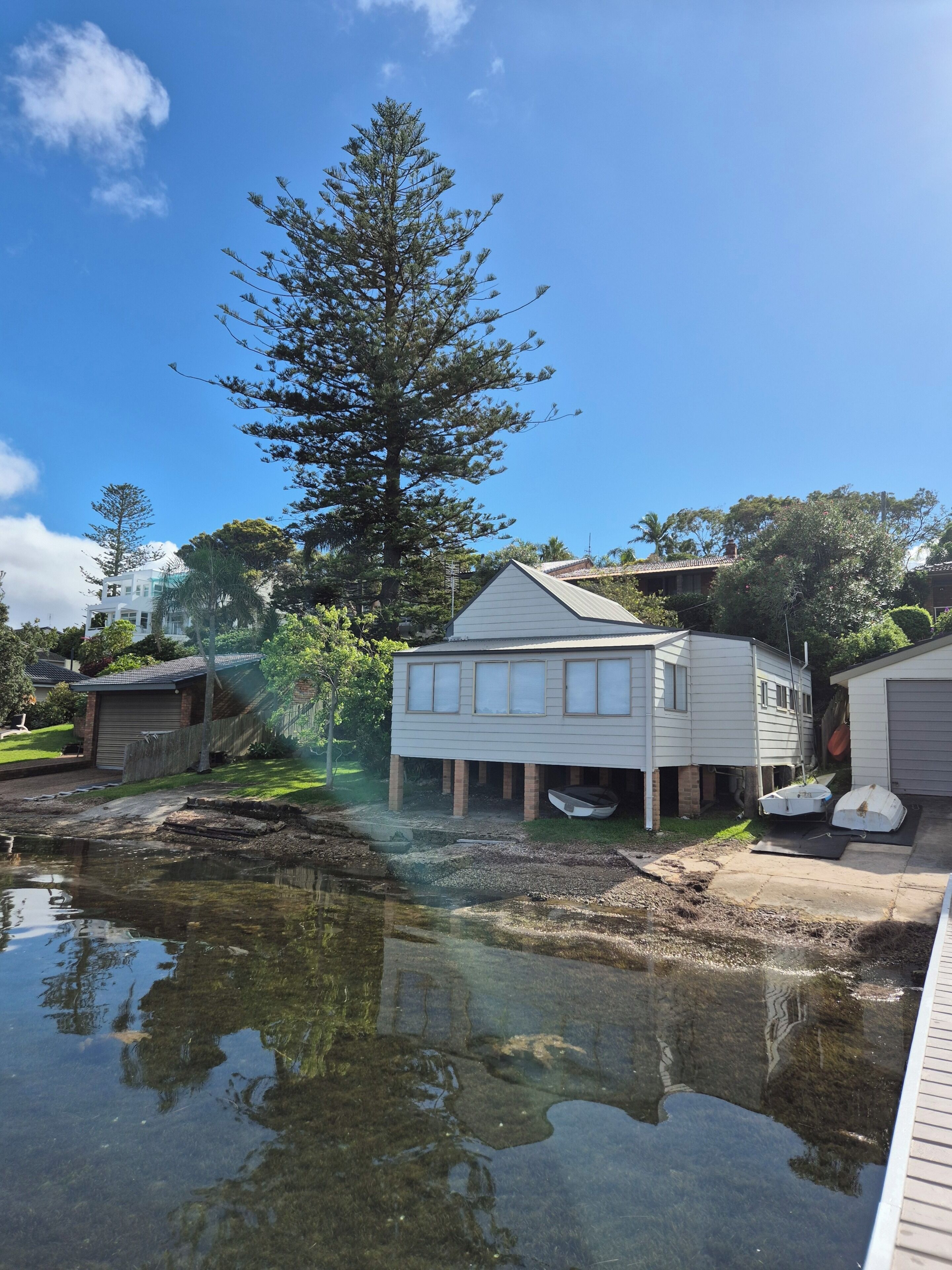 A residential area with a house, a small pond, and a large tree.