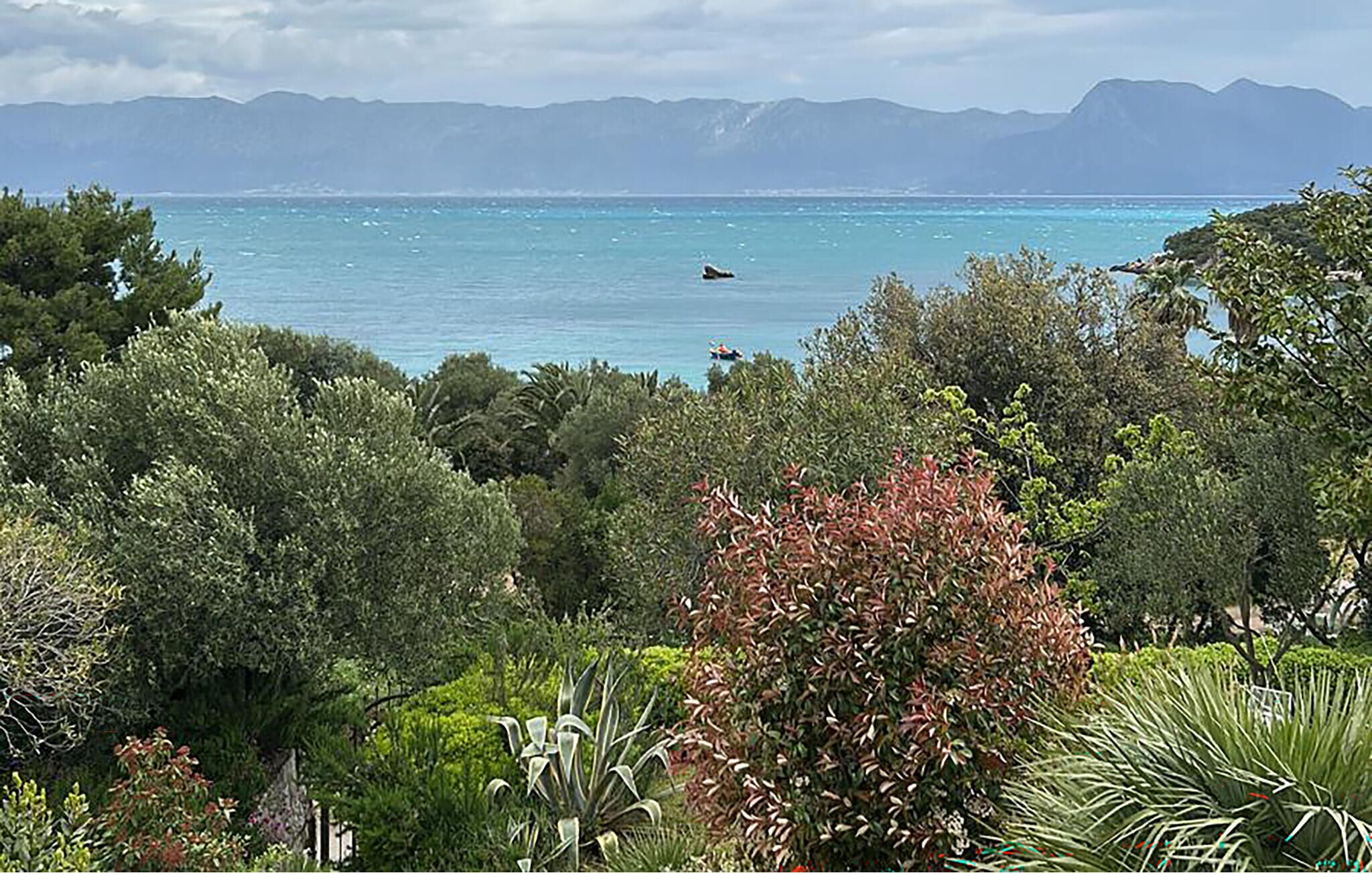 Eine Küstenlandschaft mit Blick auf das Meer, Berge im Hintergrund und üppigem Grün im Vordergrund.