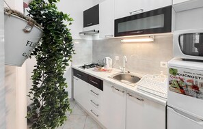 Private kitchen - Beautiful apartment in Opuzen with WiFi (Opuzen)