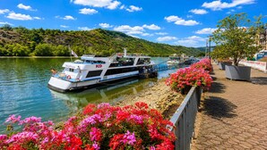 A riverboat docked at a pier with a bridge connecting to the shore, surrounded by greenery and flowers. - Zum Rheinberg – Komfort Studio (Braubach)