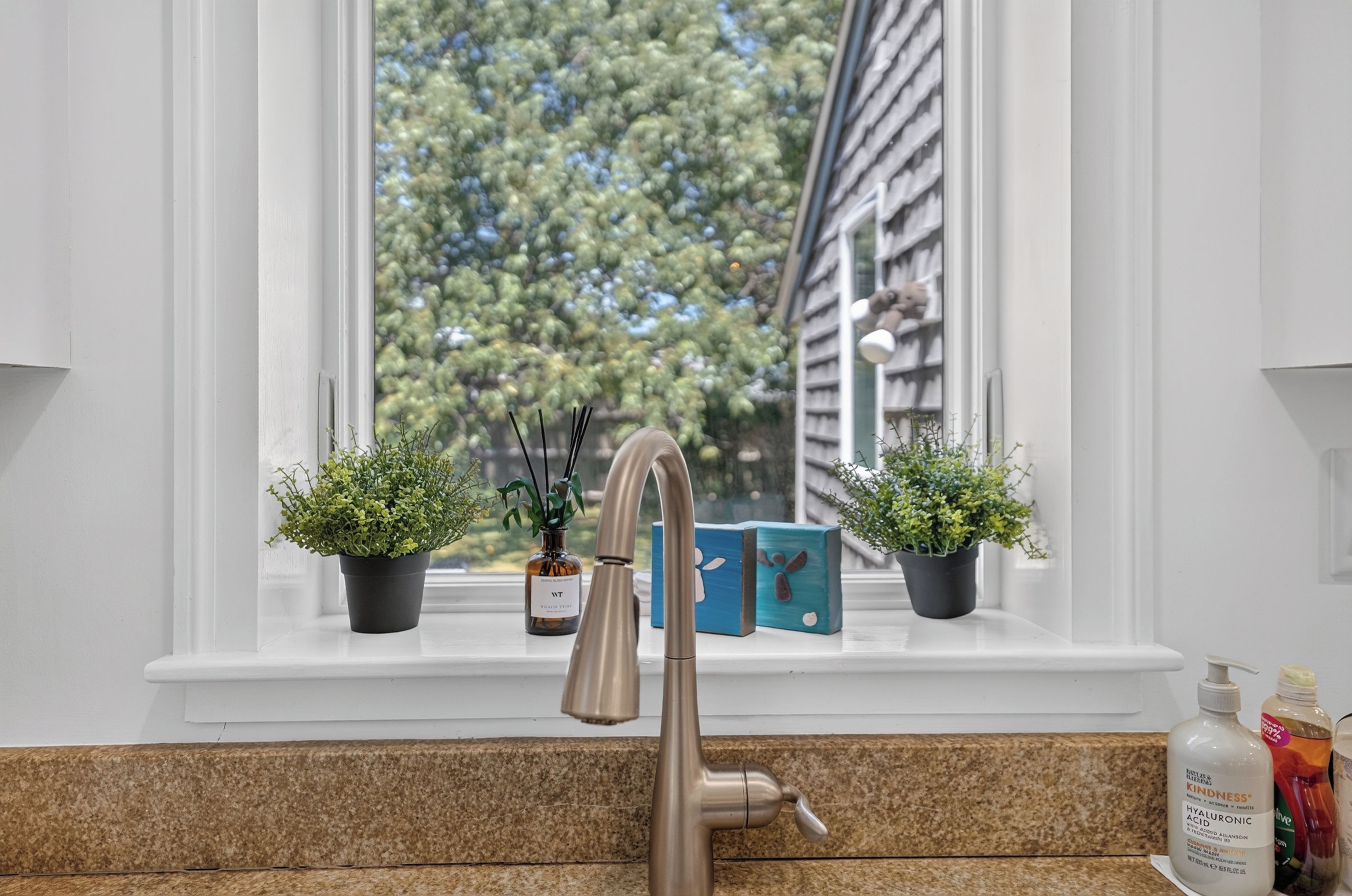Un lavello da cucina con un rubinetto moderno, due piante in vaso e una finestra che si affaccia su alberi e un edificio.
