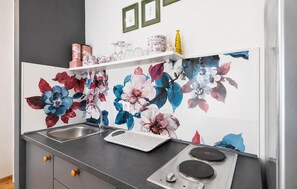 Coffee/tea maker, fridge, microwave, stovetop - Lovely apartment in Kozino (Kozino)