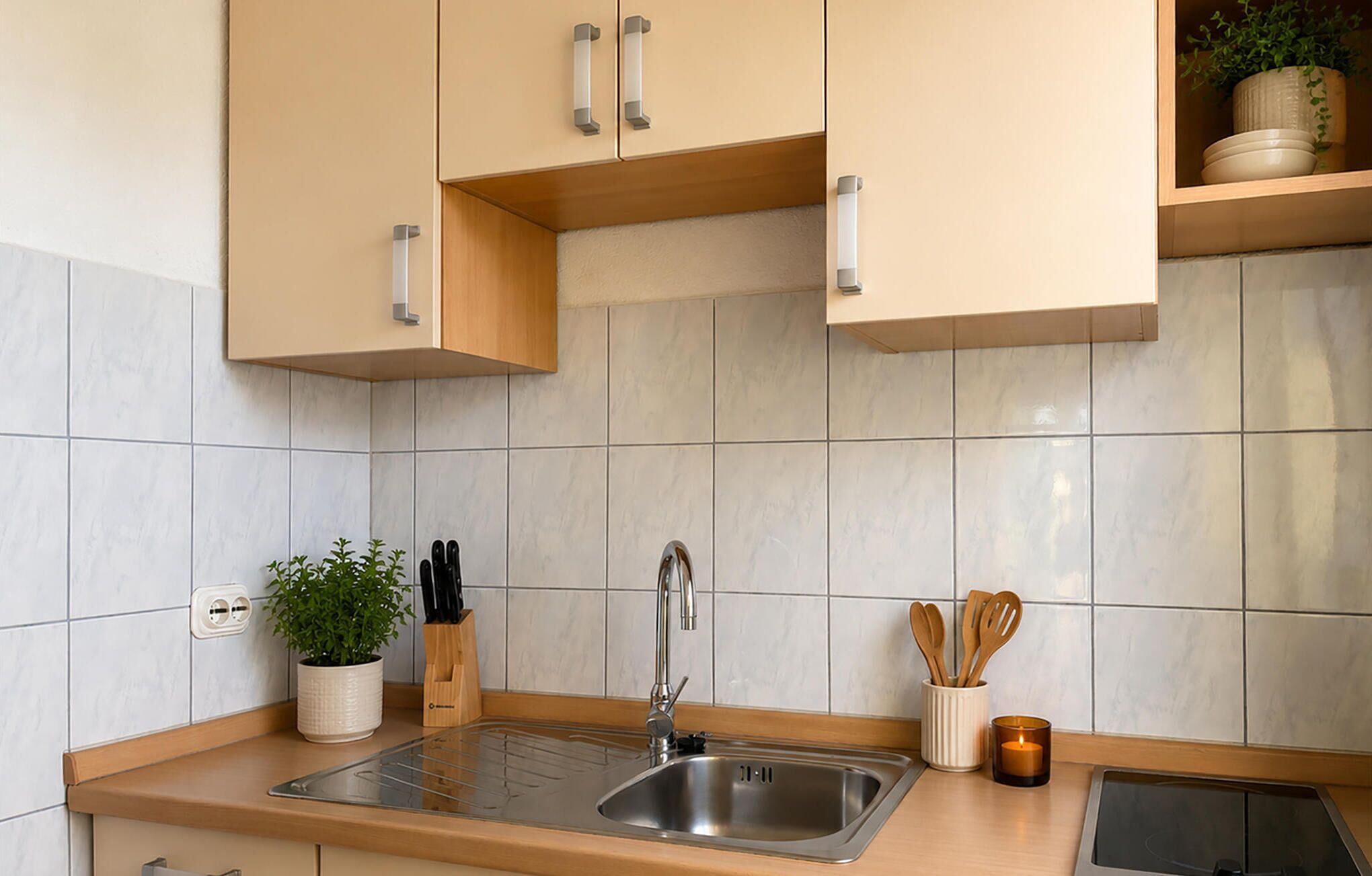 Fridge, stovetop, cookware/dishes/utensils