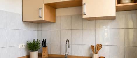 Fridge, stovetop, cookware/dishes/utensils