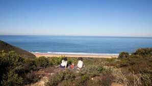 A beach with two people sitting on a blanket, overlooking the ocean. - Coastal Wilderness Retreat (HARDYS BAY)