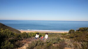 A beach with two people sitting on a blanket, overlooking the ocean. - Coastal Wilderness Retreat (HARDYS BAY)