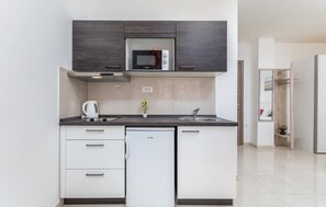 Kühlschrank, Mikrowelle, Herdplatte, Kochgeschirr/Geschirr/Besteck