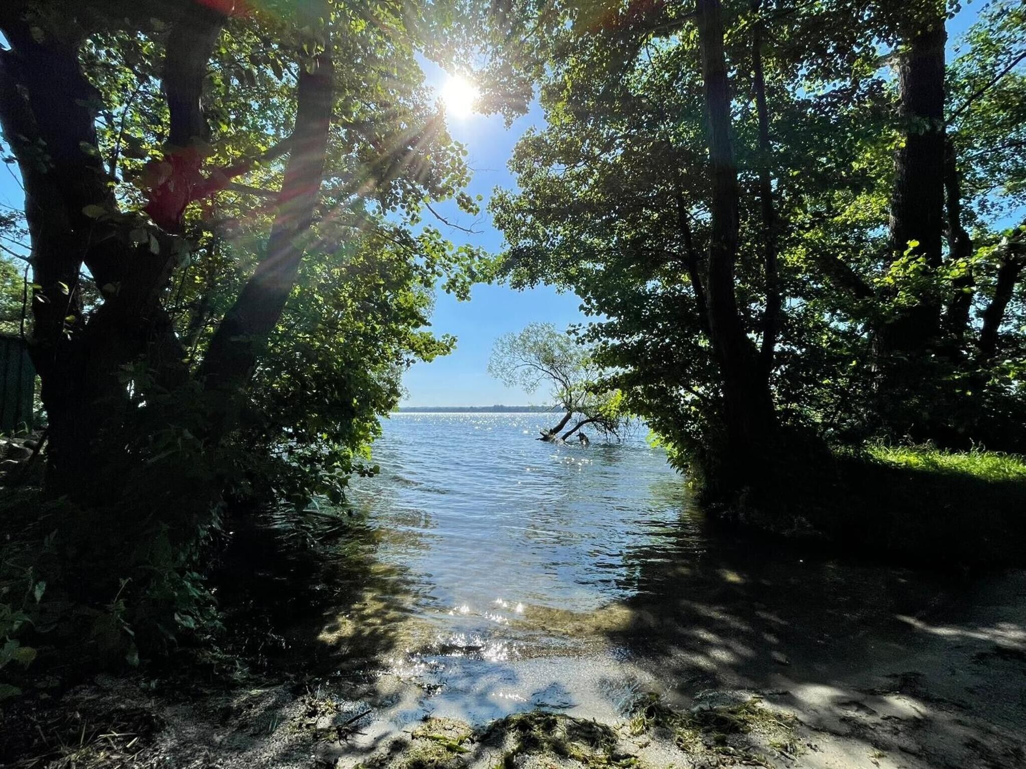 Eine natürliche Landschaft mit einem Gewässer, umgeben von Bäumen und einem klaren Himmel.