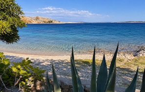 Eine Küstenlandschaft mit klarem, blauem Wasser, einem Kiesstrand und grüner Vegetation.