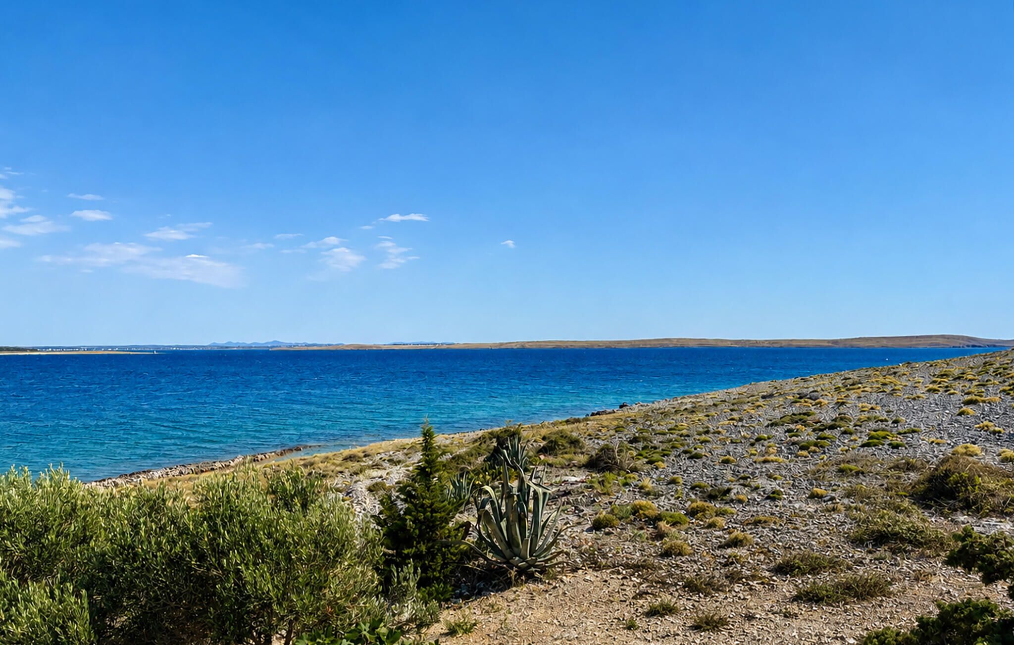 A coastal landscape with a clear sky, a body of water, and sparse vegetation.
