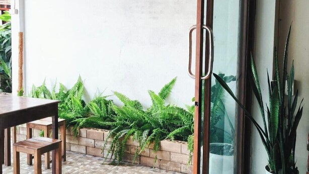 Interno di una pensione con un cartello che riporta 'Sabaydee Guesthouse' e un muro in mattoni con piante verdi.