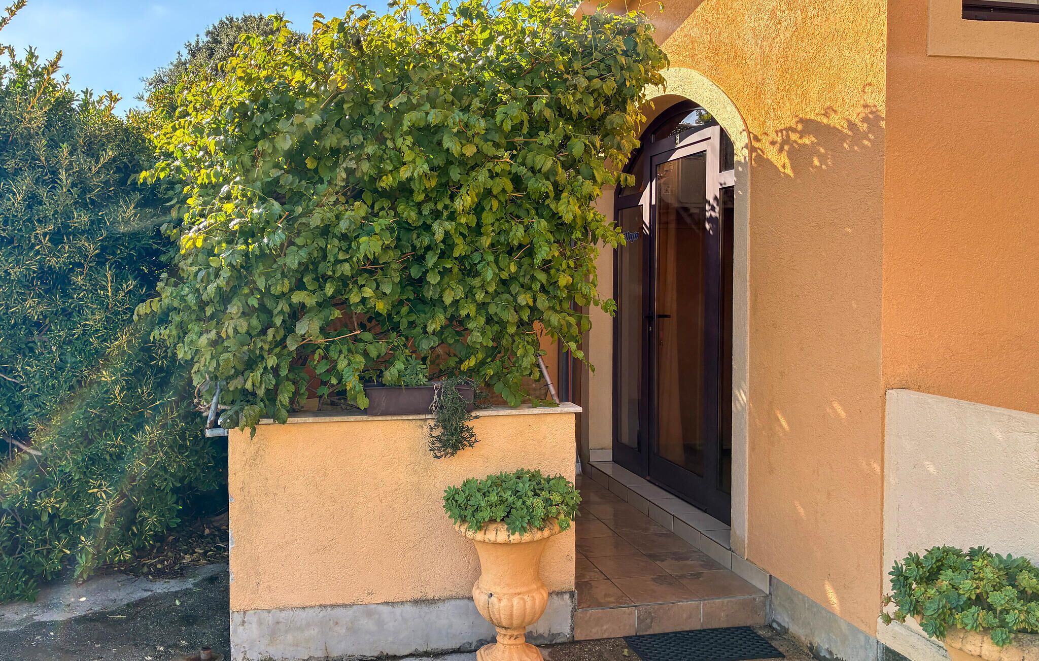 Ein Gebäudeeingang mit überdachter Veranda, einem Blumentopf und einer Tür.