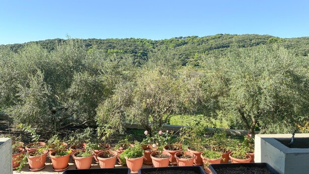 A terrace with potted plants and a view of a forested hillside. - Nice apartment in Palit with WiFi (Palit)