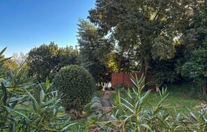 Ein Garten mit verschiedenen Pflanzen und Bäumen, einem Weg und einem Holzgebäude im Hintergrund.