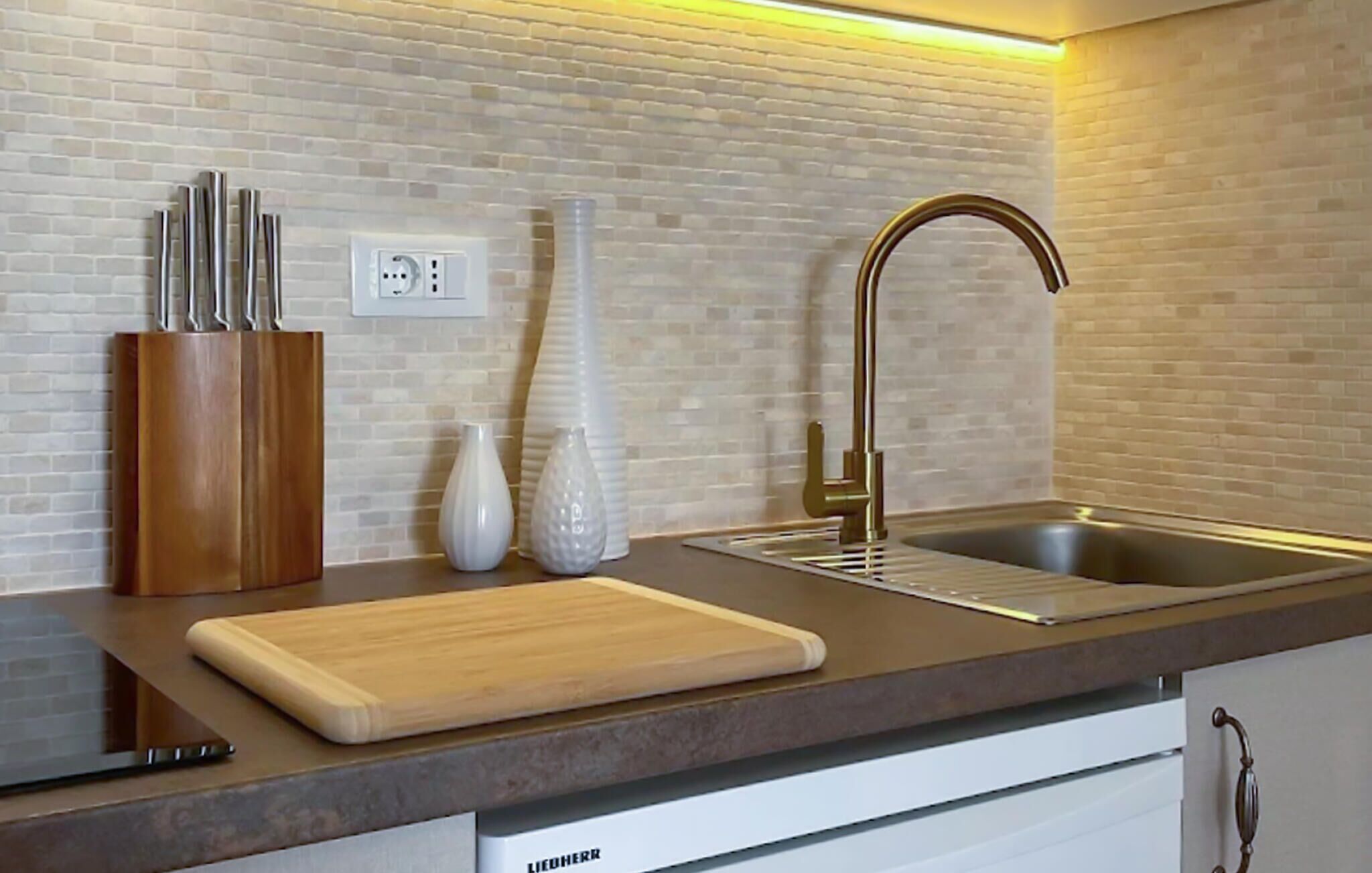 Fridge, stovetop, cookware/dishes/utensils