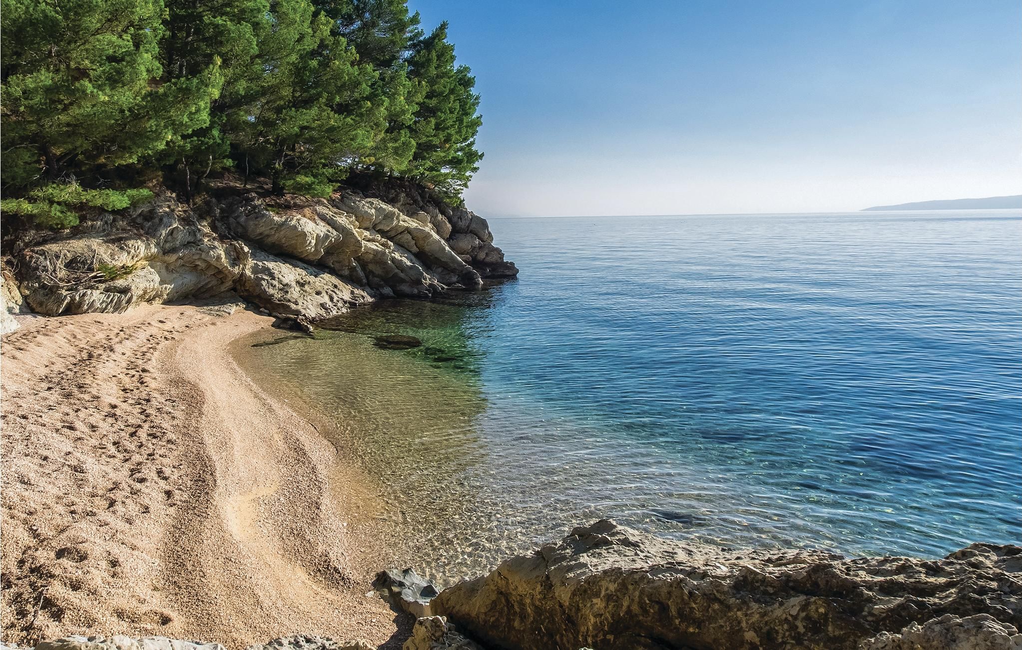 Une plage rocheuse avec une eau cristalline et de nombreux arbres verdoyants.