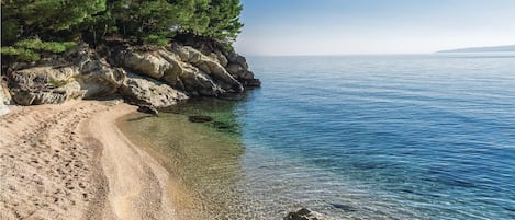 Una playa rocosa con agua cristalina y árboles verdes y frondosos.