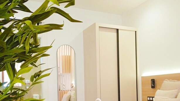 Une chambre d’hôtel avec un lit, un miroir, une armoire, une table de chevet et une plante en pot.