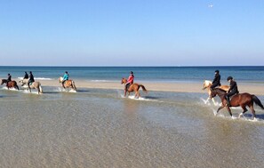 A beach with people riding horses along the shoreline. - Awesome apartment in Ribnitz-Damgarten with WiFi (Ribnitz-Damgarten)