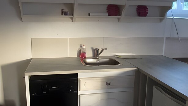 Een kleine keuken met witte kasten, een vaatwasser en een spoelbak.