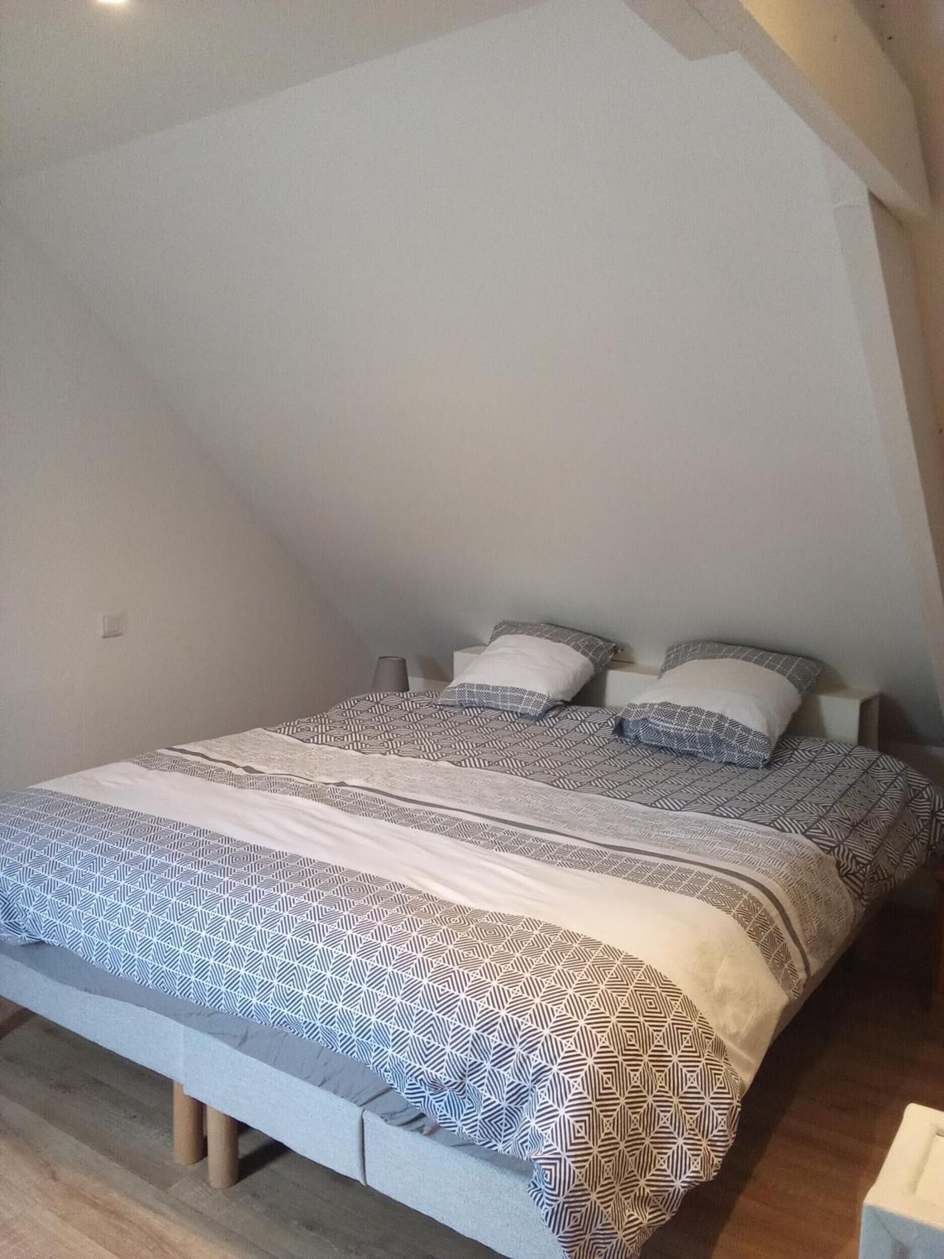 1 slaapkamer, een strijkplank/strijkijzer, wifi, beddengoed