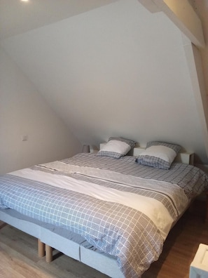 1 chambre, fer et planche à repasser, Wi-Fi, literie fournie