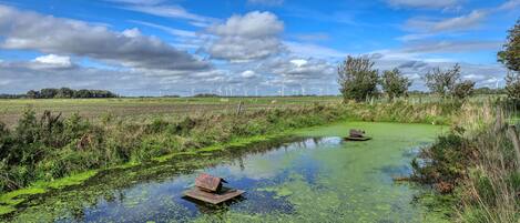 Un paysage rural avec une étendue d’eau, de la végétation et des éoliennes visibles au loin.