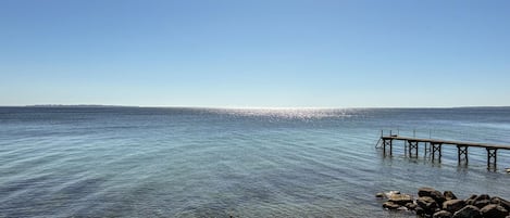 Pesca